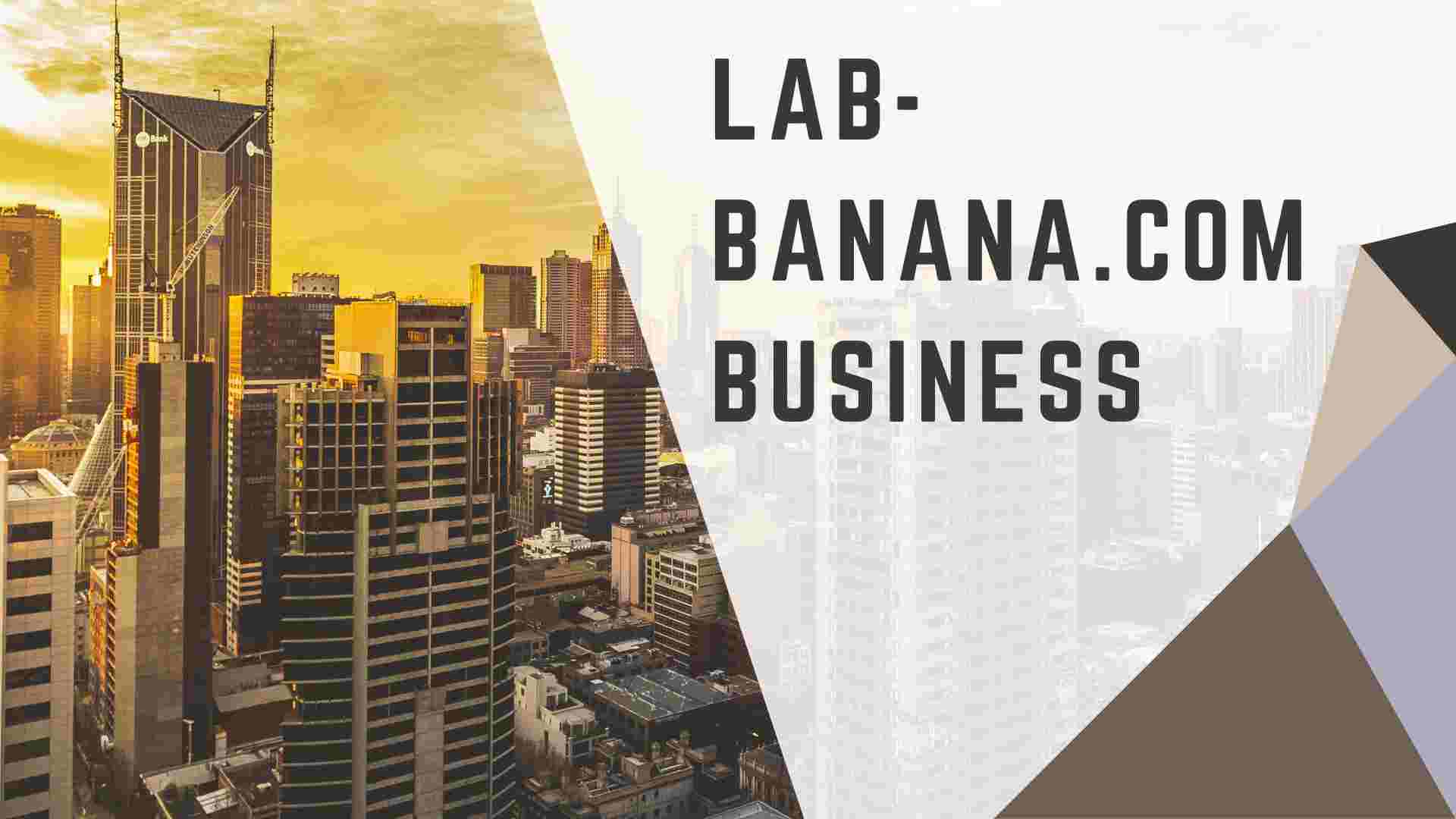 lab-banana.com business